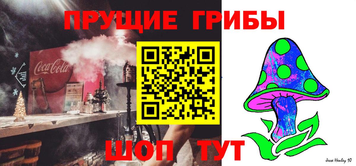 Псилоцибиновые грибы MAGIC MUSHROOMS Усть-Илимск