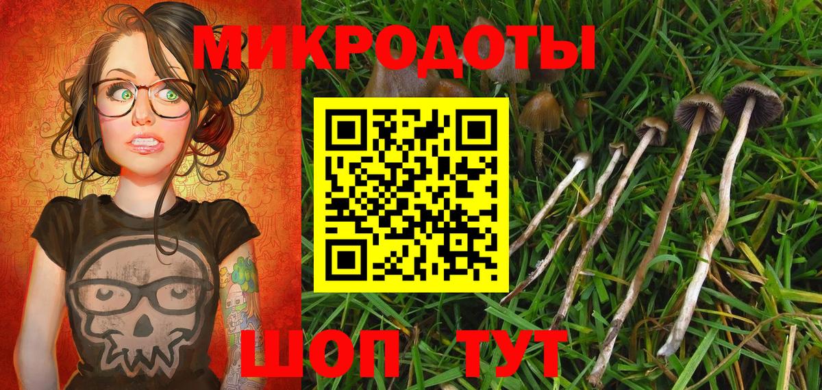 Усть-Илимск  Галлюциногенные грибы GOLDEN TEACHER  Вход с VPN  Псилоцибиновые грибы Magic Shrooms 